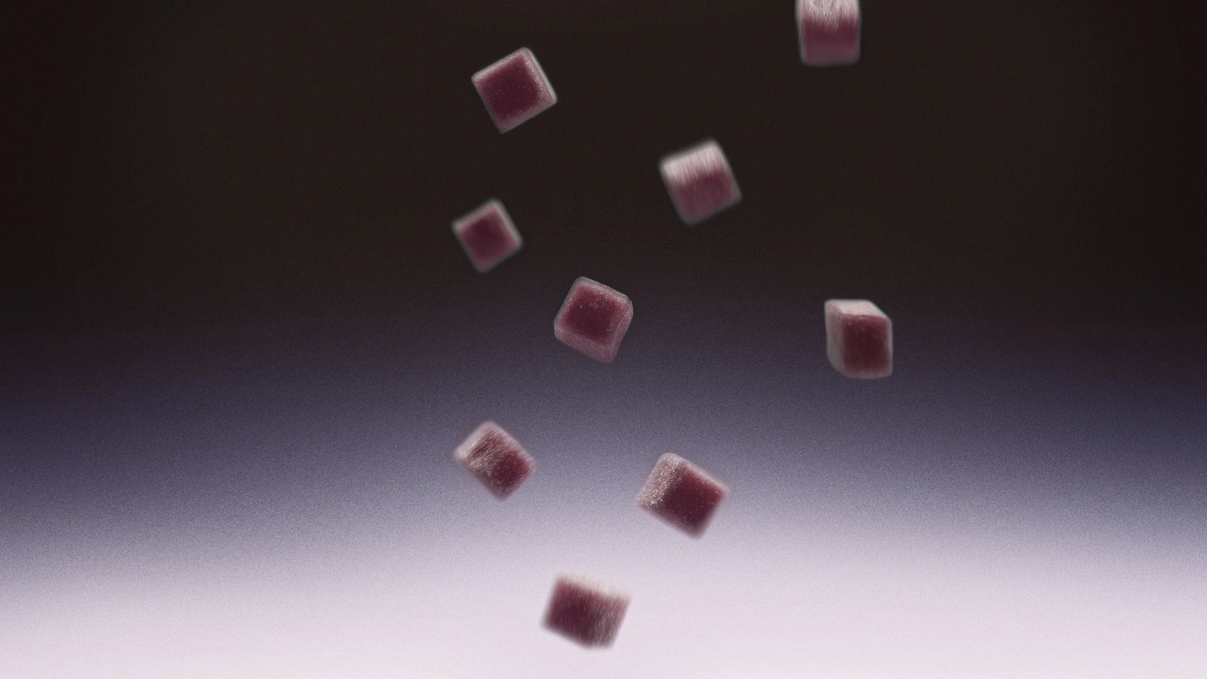 Elevated Purity in Every Bite